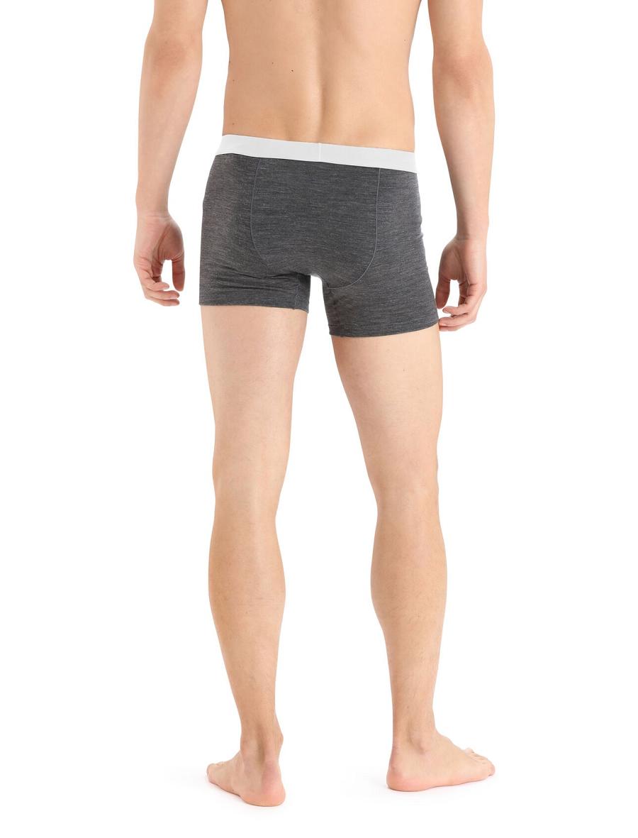 Icebreaker Cool-Lite™ Merino Anatomica Boxers Férfi Fehérnemű Taupe | HU 1319VRWD